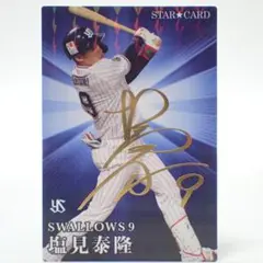 CD539 プロ野球チップス 塩見泰隆 金箔サイン スターカードのサムネイル