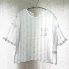 美品✦URBAN RESEARCH DOORSシアーTブラウス F 白ストライプのサムネイル