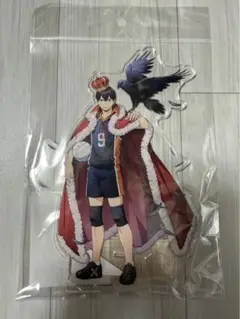 ハイキュー　ハイドリ　Touch The Dream　影山飛雄　影山　烏野
