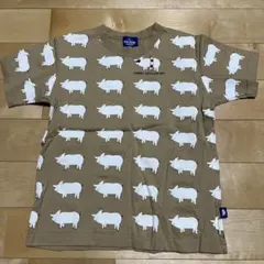 ドラッグストアーズ D.S.CLUB キッズ Tシャツのサムネイル