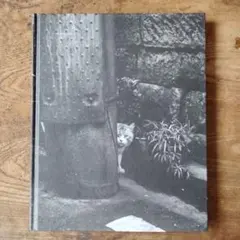 TOKYO WILD CATS 武田花 写真集 中央公論社