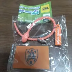 2026J1リーグクラブフラッグ＆ネームタグ付きマルチチャーム　清水エスパルス