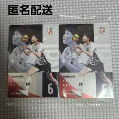 男バレ 日本代表 ツインウエハース 山内晶大