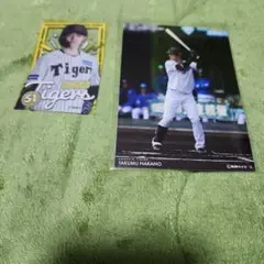 阪神タイガース　中野拓夢選手　ラッフルくじ