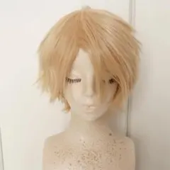 コスペディア製　あんスタ　鳴上嵐　ウィッグ　コスプレ　衣装