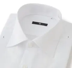 Item thumbnail for item 5e5fb14c-09e2-4f15-ac66-3fc6a52220e0