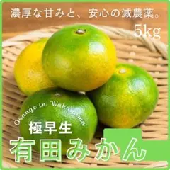 みかん出品 11月上旬より出荷予定】【送料込】みかん やまきずくん 訳あり