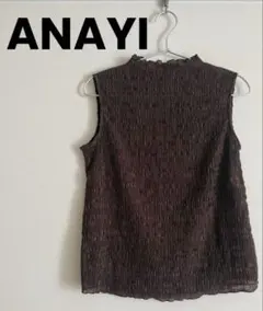 近年モデル*ANAYI*アナイ 総レース コットンレースカットソー 