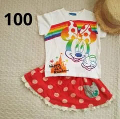 ディズニー ミニー トップス Tシャツ スカート 東京ディズニーリゾート セット