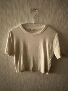 ZARA アイボリー クロップドTシャツ