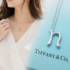 極美品 ティファニー アルファベット イニシャル Eネックレス シルバー