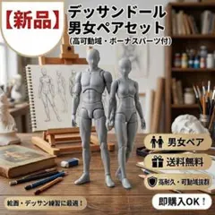 デッサンドール 男女ペアセット グレー 可動 フィギュア イラスト 作画
