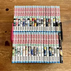 【初版多数】HUNTER × HUNTER 全巻セット 富樫義博