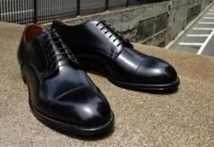 値下げ ALDEN 558 モディファイドラスト ストレートチップ 9D ツリーのサムネイル