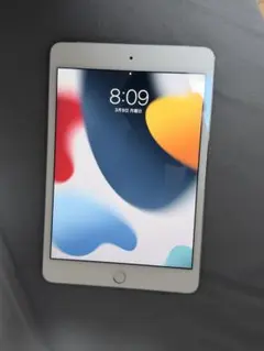 iPad mini4 128GBスペースグレイ Wi-Fi+ Cellular