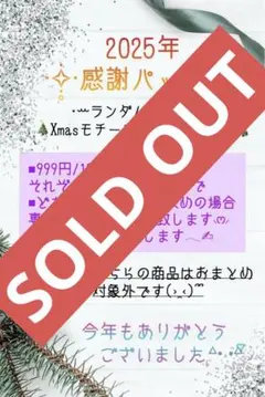 ㋬2025年感謝パック《22枚+α入り》 cotton melody様メイン