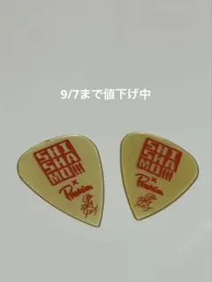 2026年最新】SHISHAMOの人気アイテム - メルカリ