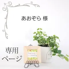あおぞら様 リクエスト 2点 まとめ商品