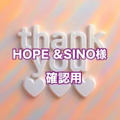 HOPE &SINO様　確認用