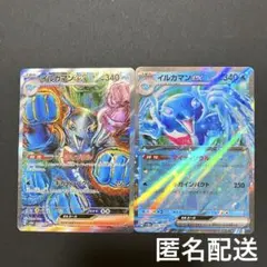 2025年最新】sar テラスタルフェス イルカマンの人気アイテム