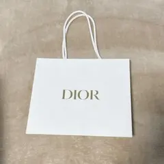 DIOR ディオール ロゴ柄 ショッパー ショップ袋 紙袋