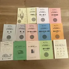 ピグマリオン PYGLIシリーズ 能力育成問題集 13セット＋問題集