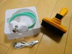 Item thumbnail for item 5fd83d9d-9ff4-4676-9a51-c7975f7a3051