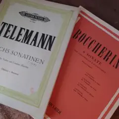 B264 洋書 楽譜 紙物 ヴィンテージ ジャンクジャーナル 雑記帳 コラージュ