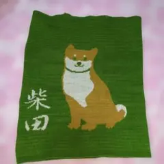 【多少の値引き交渉OK】柴犬　腹巻 グリーン　柴田