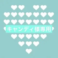 ◯キャンディ様専用