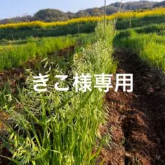 きこ様専用ページ