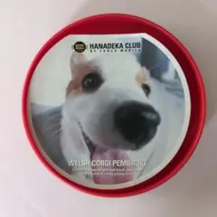 HANADEKA CLUB ウェルシュ・コーギー メモケース
