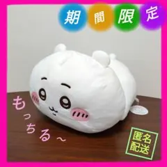 モフ缶 泣きむし猫のキィちゃん ましゅもっち ぬいぐるみ やさしい猫の