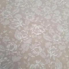 Item thumbnail for item 28debd79-a723-43c9-b839-3f929c026d14