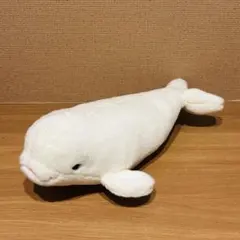 名古屋港水族館　ベルーガ　イルカ　ぬいぐるみ