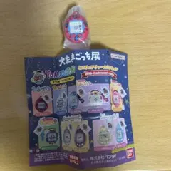 R様 リクエスト 2点 まとめ商品