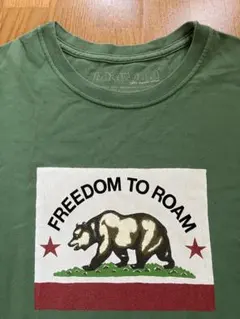 パタゴニア　フリーダム・トゥ・ローム Tシャツ グリーン