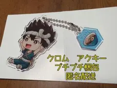 Dr.STONE クロム アクリルキーホルダー