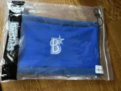 横浜DeNAベイスターズ オーセンティックフリースネックウォーマー