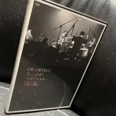 GRAPEVINE　グレイプバイン　CD28枚セット　DVD 廃盤 帯付新品 完全初回限定生産 CD+DVD「LIVE 2001 NAKED SONGS