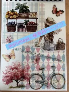 marumaya⭐︎プロフご確認ください様 リクエスト 2点 まとめ商品