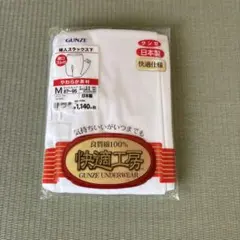 GUNZE 下着 Mサイズ