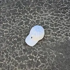 POLO Ralph Lauren Cotton Cap White