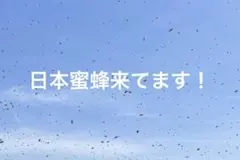 Item thumbnail for item 03e3e362-9600-4f35-9162-716eaeeb591d