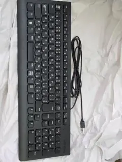 レノボ テンキーあり 日本語キーボード USB接続 未使用