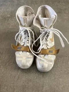 Item thumbnail for item c7574ffa-4e43-4b4d-8645-402c56d75553