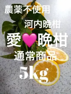農薬不使用！「愛♡晩柑」木成りみかん5キロ！愛媛みかん農園直送！のサムネイル