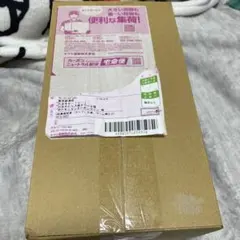 ダンボール未開封　新品　ポケモンセンタートウホクスペシャルBOX