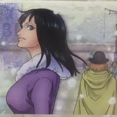 원피스 ジャンボカードダズ クリアプレート 로빈