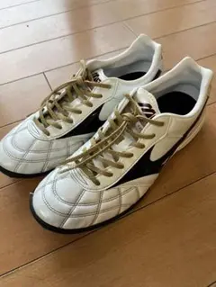 Mizuno Morelia TF